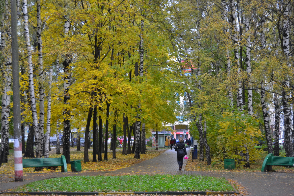 Станкозаводский парк