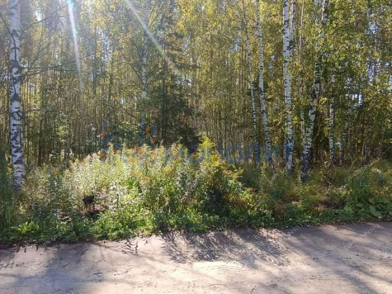 земельный участок 15 соток ТИЗ Елховка - Березовая улица село Елховка