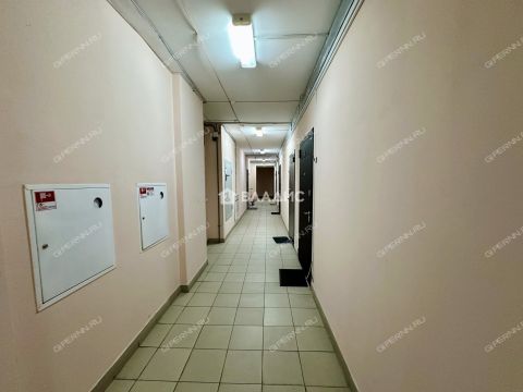 1-komnatnaya-derevnya-afonino-kstovskiy-rayon фото
