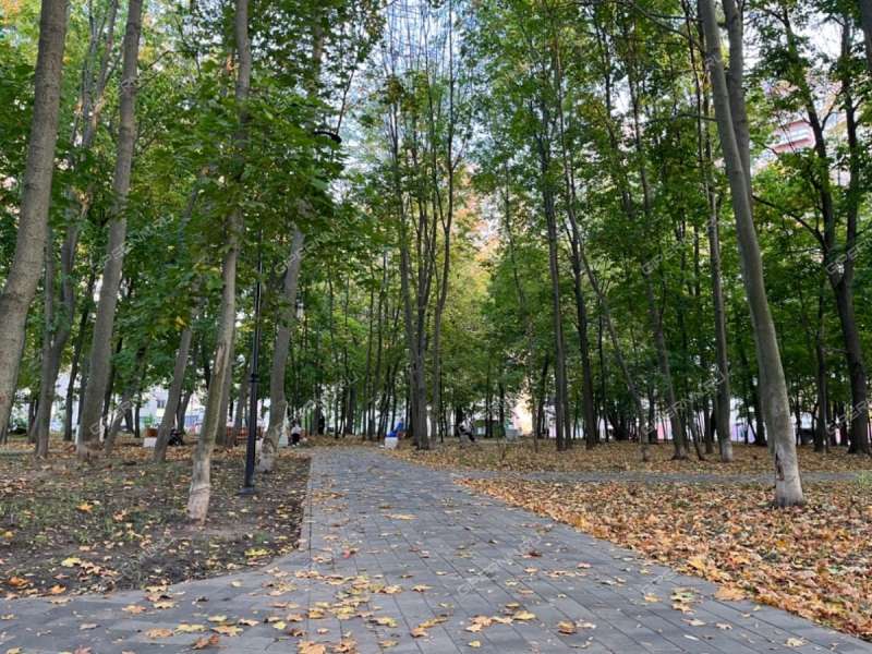 двухкомнатная квартира на улице Родионова дом 39