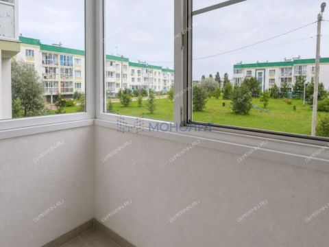 1-komnatnaya-gorod-nizhniy-novgorod-bogorodskiy-municipalnyy-okrug фото