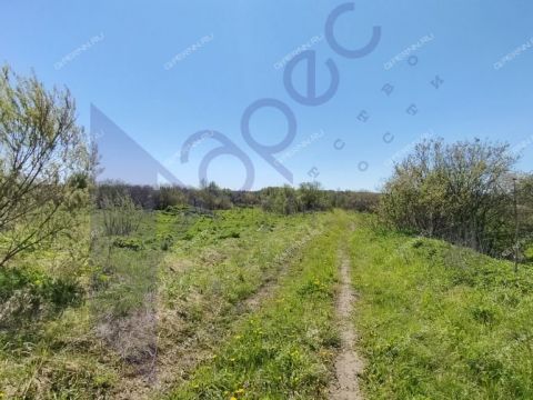 derevnya-berezovo-sokolskiy-gorodskoy-okrug фото