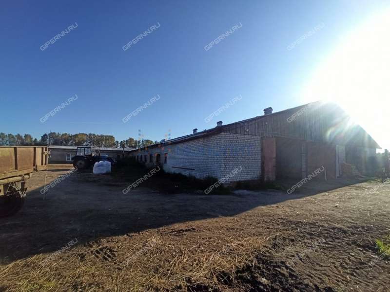 земельный участок под сельхоз назначение в городском округе Бор Нижегородской области