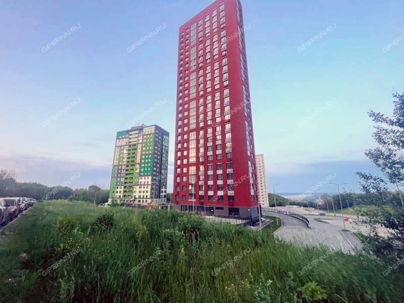 улица Родионова, 202 фото