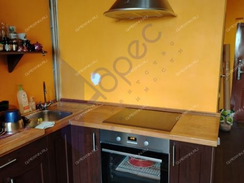 1-komnatnaya-derevnya-afonino-kstovskiy-rayon фото