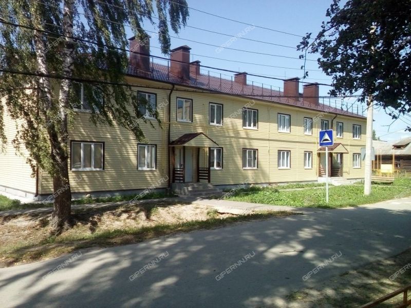 Зеленая. Город бор улица степана разина 2 м. Жилье г бор. Степана разина, 2, бор фото. Жилье г бор.