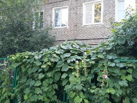 2-komnatnaya-ul-metallistov-d-1 фото