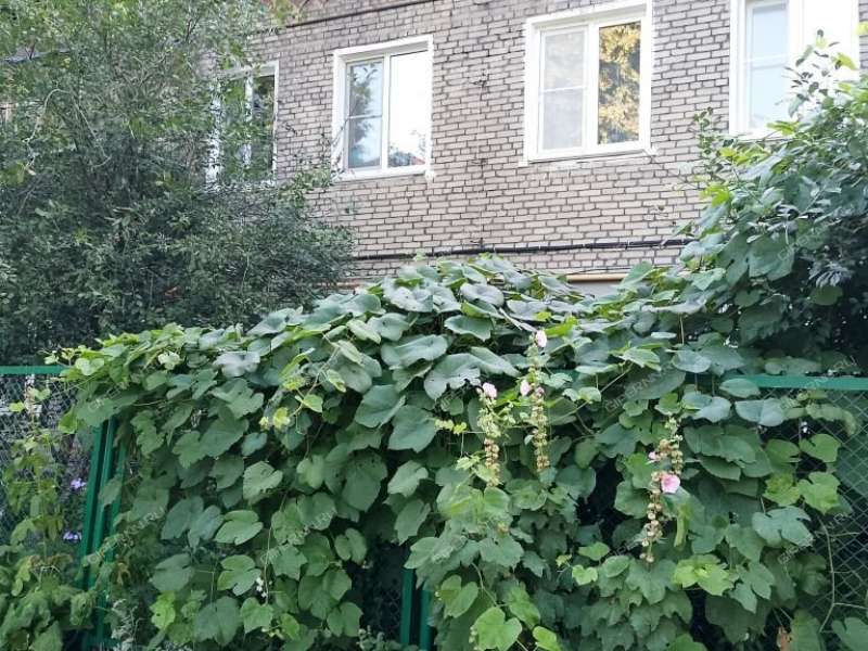 двухкомнатная квартира на улице Металлистов дом 1