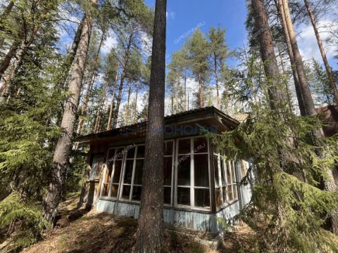 dacha-derevnya-sverchkovo-gorodskoy-okrug-bor фото