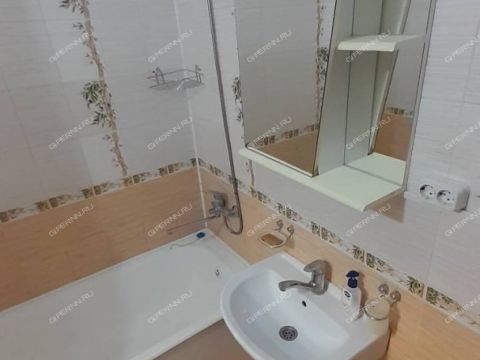 1-komnatnaya-ul-nizhne-pecherskaya-d-15 фото