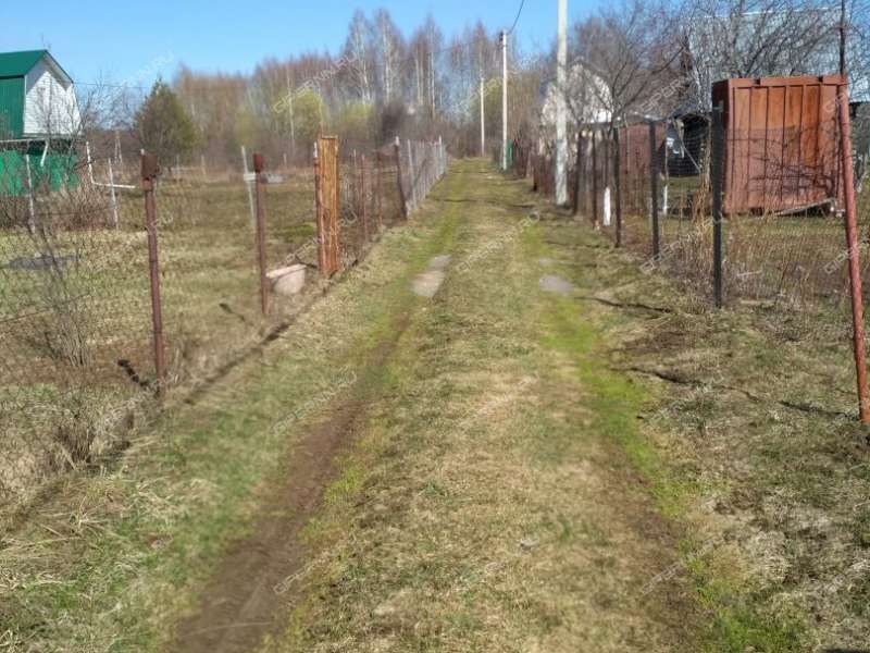 сад на СНТ Березовый Клин