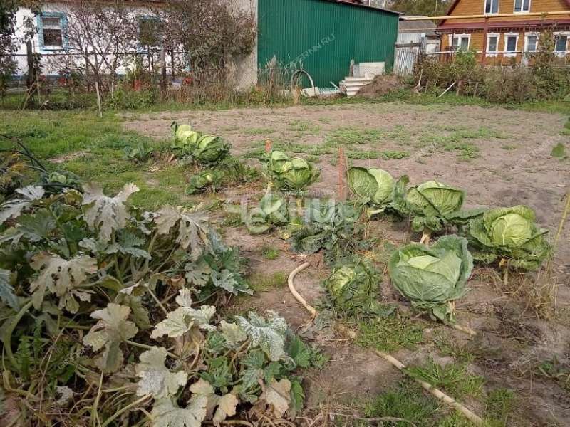дом на Ясная Поляна ул город Заволжье