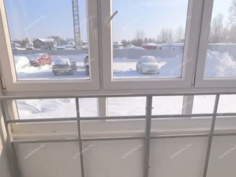 2-komnatnaya-ul-zelenhozovskaya-d-1n фото