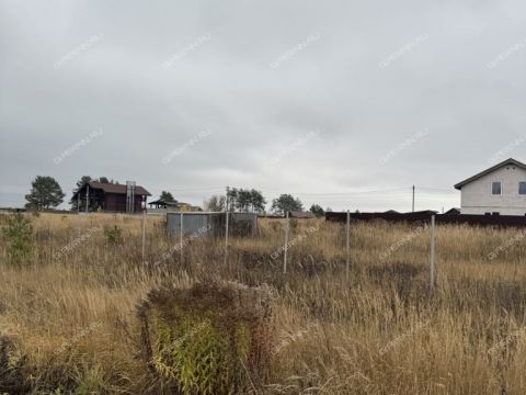 selo-efimevo-bogorodskiy-municipalnyy-okrug фото