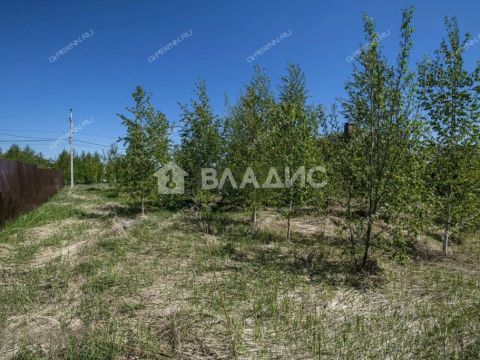 derevnya-burcevo-bogorodskiy-municipalnyy-okrug фото