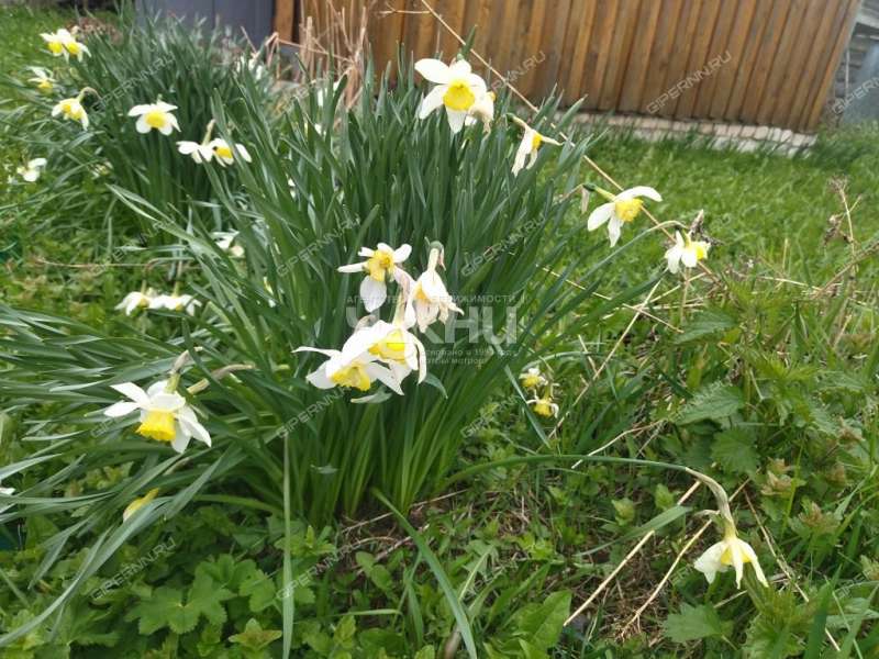 дом на Октябрьской улице село Владимирское