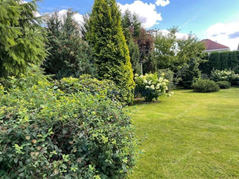 земельный участок 22 сотки Лесная улица село Останкино