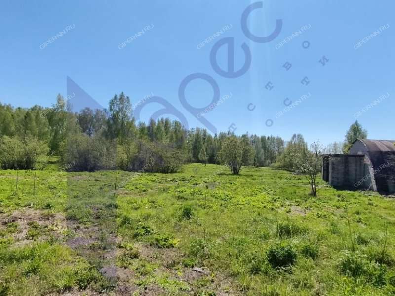 земельный участок под коммерческое использование в городском округе Сокольский Нижегородской области