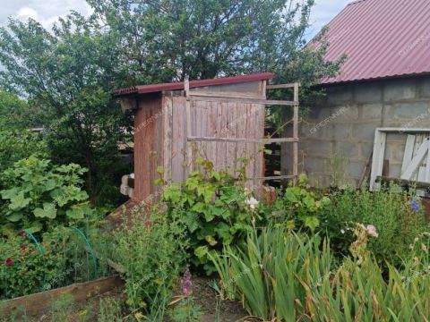 dom-selo-yagubovka-buturlinskiy-municipalnyy-okrug фото