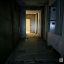 Фото: ИА «В городе N»