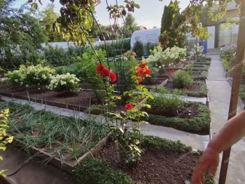 dacha-snt-nadezhda фото