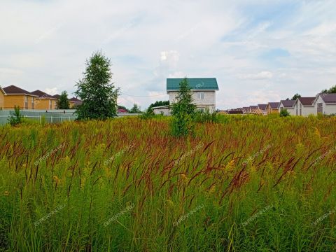 gorod-bor-gorodskoy-okrug-bor фото