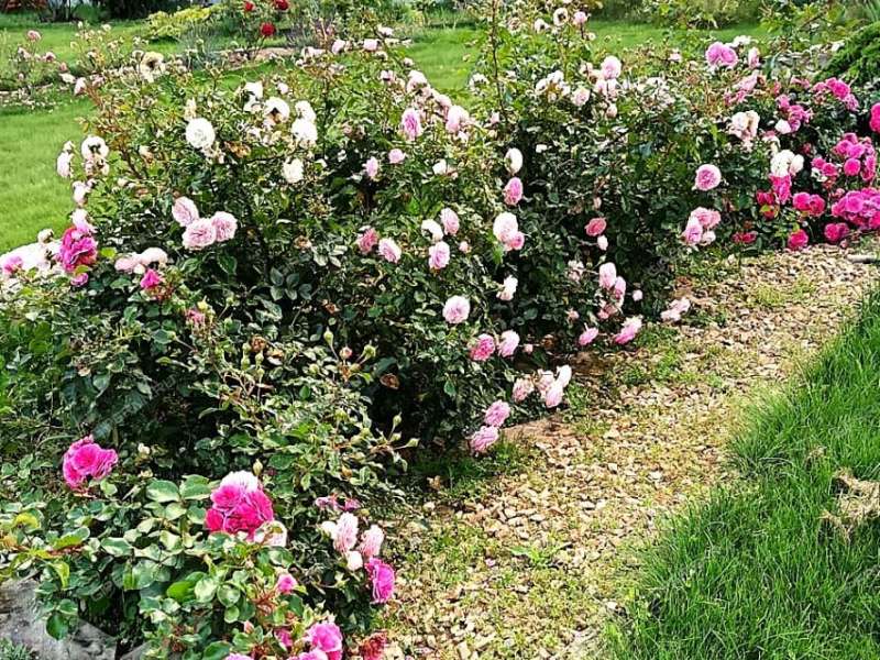 коттедж на КП Троца деревня Перехваткино, Кузнецовский сельсовет