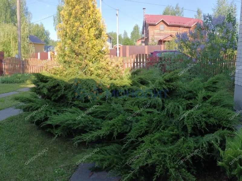 дом на улице ТИЗ Елховка - Центральная село Елховка