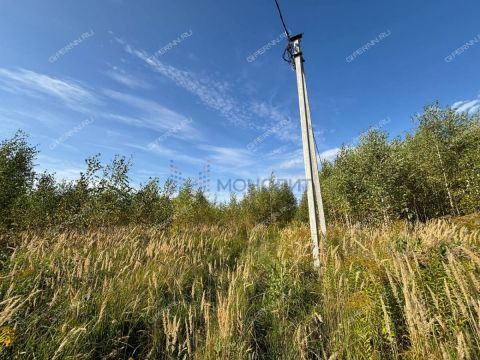 derevnya-habarskoe-bogorodskiy-municipalnyy-okrug фото