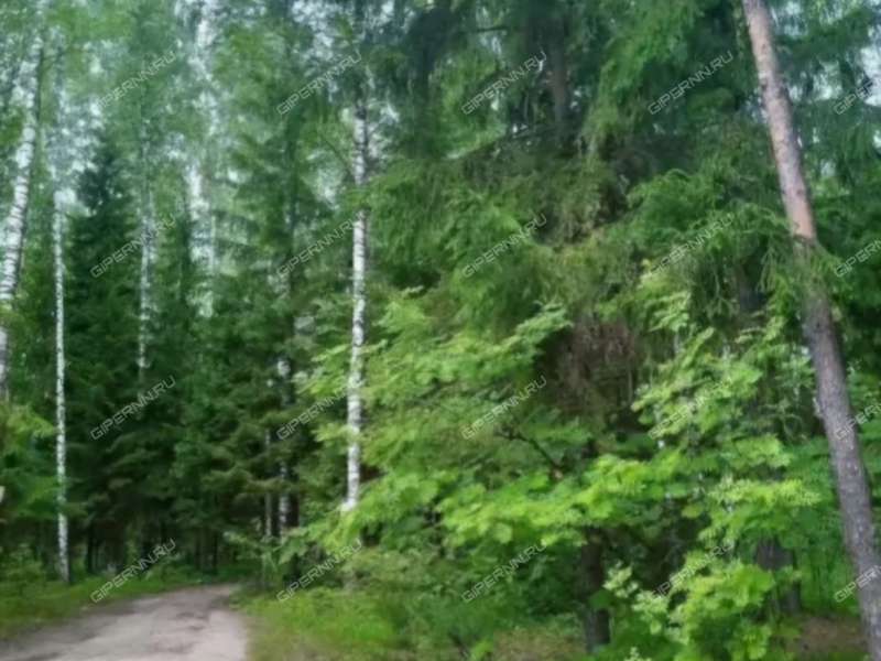 земельный участок 6,45 сотки - посёлок при станции Тарасиха