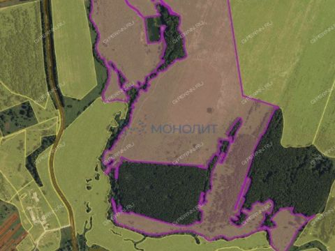 selo-diveevo-diveevskiy-municipalnyy-okrug фото