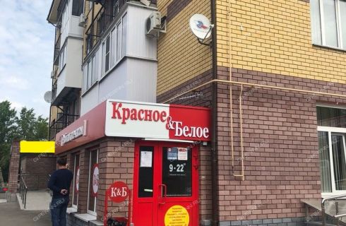 Богородск дзержинск. Чапаева 6 Дзержинск Нижегородской области. Чапаева 29 Дзержинск Нижегородская область. Чапаева 28 Дзержинск. Дзержинск ул. Чапаева 29.