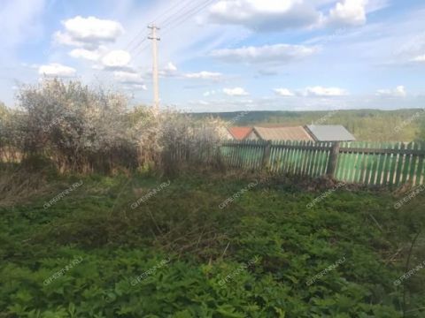 selo-surovatiha-dalnekonstantinovskiy-rayon фото