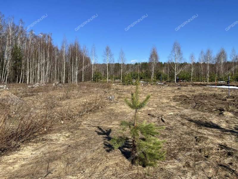 земельный участок под сельхоз назначение в Городецком районе Нижегородской области