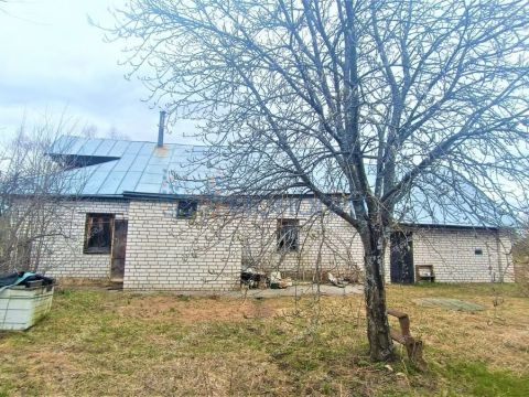 dom-derevnya-dolgovo-gorodskoy-okrug-bor фото