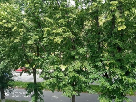 2-komnatnaya-prosp-ilicha-d-7 фото