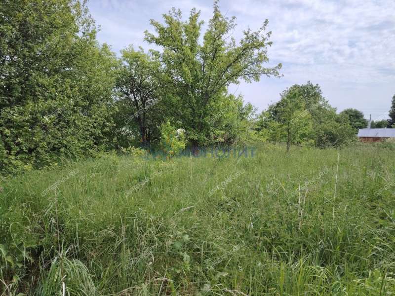 дом на улице Советская деревня Крутец (Алешковский сельсовет