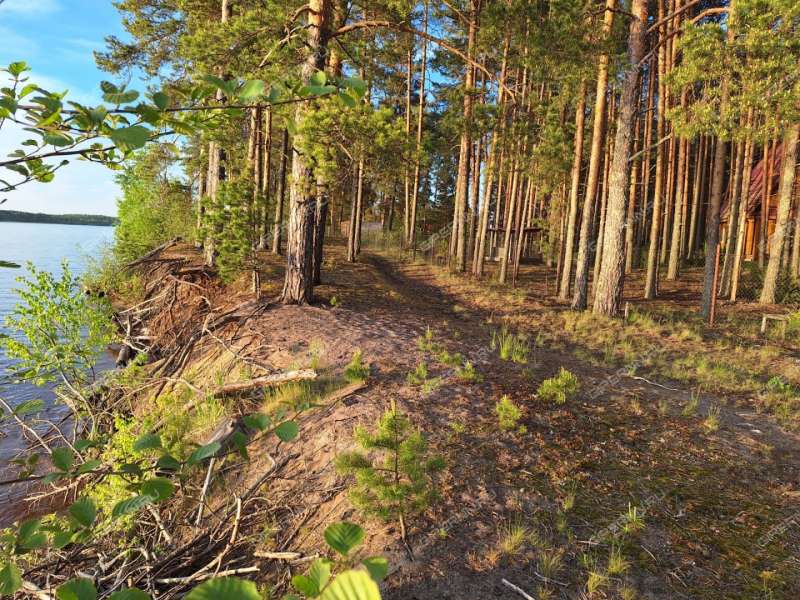земельный участок под коммерческое использование в городском округе Сокольский Нижегородской области