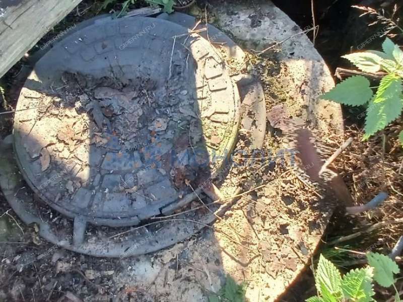 земельный участок 10 соток Новосибирская улица деревня Гремячки