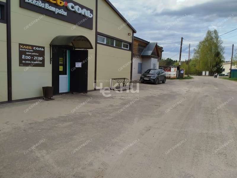 дом на Советской улице село Пустынь