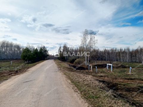 derevnya-inyutino-bogorodskiy-municipalnyy-okrug фото