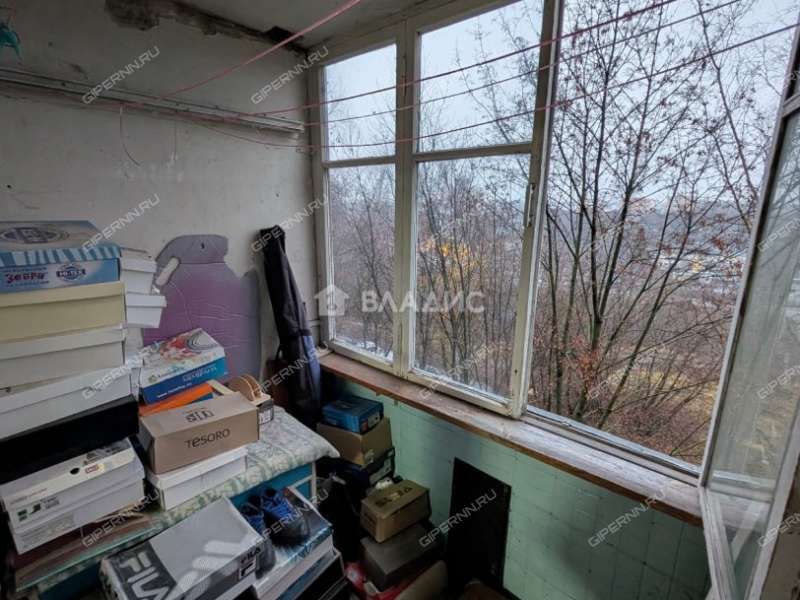 двухкомнатная квартира на улице Германа Лопатина дом 14