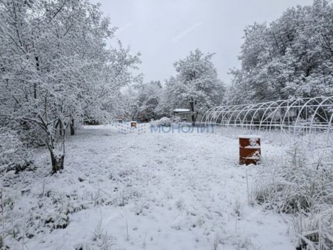 dom-ul-svobody-d-158 фото