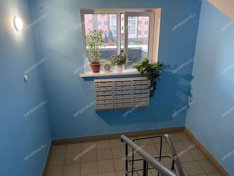 однокомнатная квартира на улице Суворова дом 6