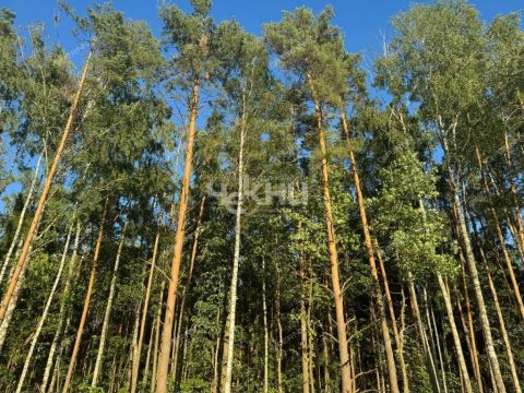 dom-tsn-chistye-klyuchi-dalnekonstantinovskiy-rayon фото