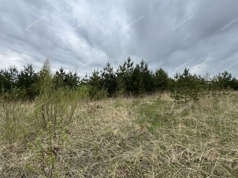 derevnya-nepecino-bogorodskiy-municipalnyy-okrug фото