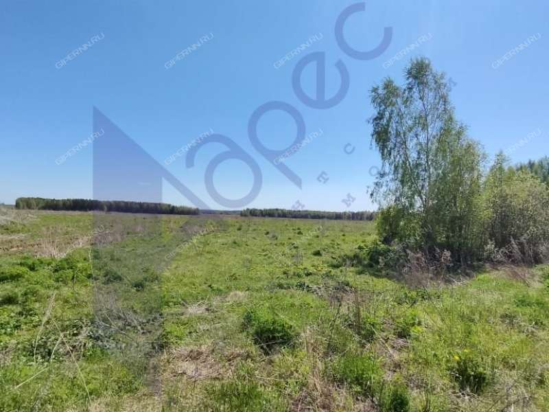 земельный участок под коммерческое использование в городском округе Сокольский Нижегородской области