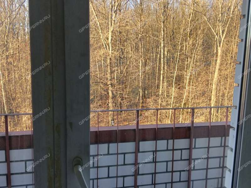 трёхкомнатная квартира на улице Ванеева дом 221