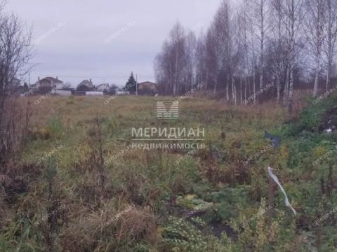 novinskiy-selsovet фото