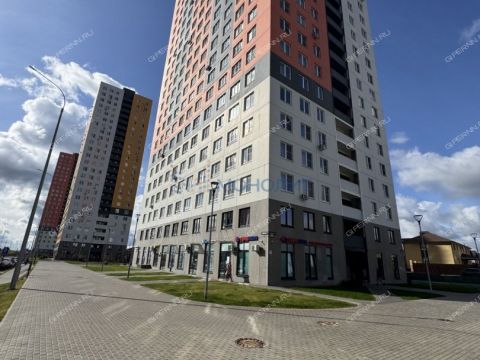 1-komnatnaya-derevnya-ankudinovka-kstovskiy-rayon фото